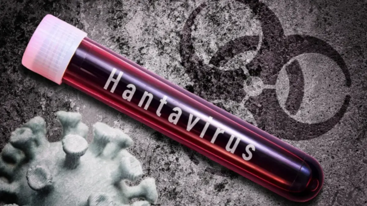 Tratament experimental împotriva hantavirusului ajunge în Europa