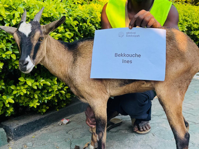 Bekkouche Ines.jpg