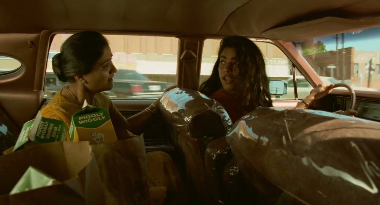 Mississippi Masala Screenshot
