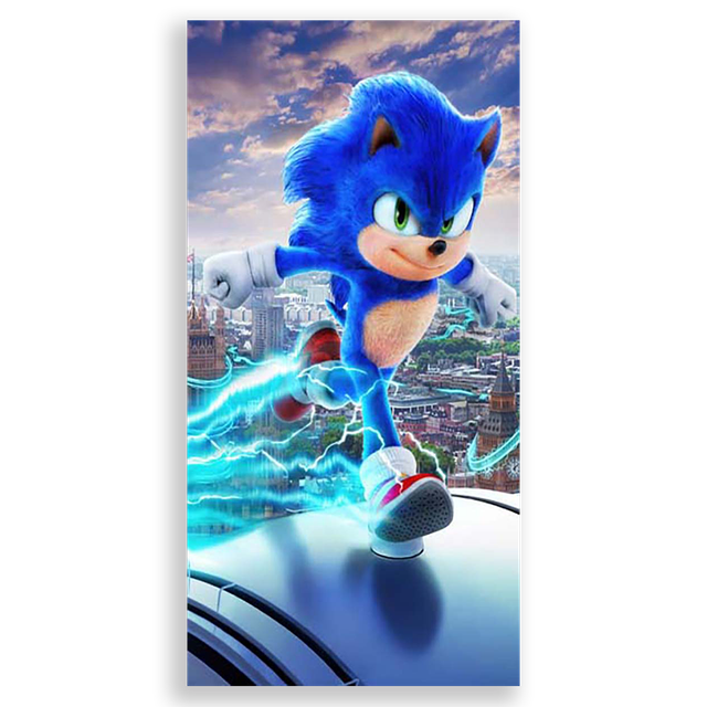 31001559-Sonic