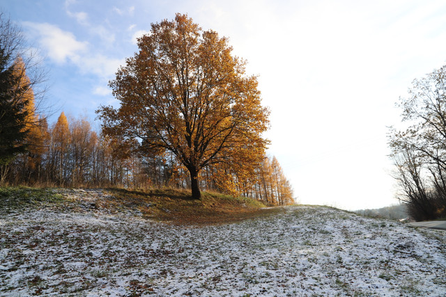 IMG-6094