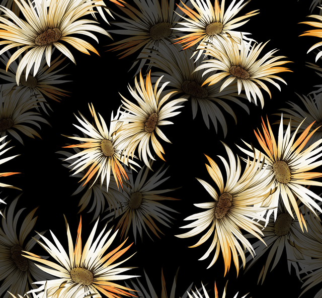 4 (88).png
