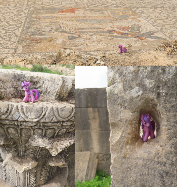 3pics.jpg