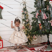 IMG 4387