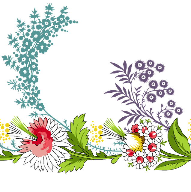 ba55579cb5edafb4aa7943f33936f388.png