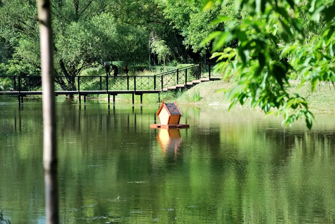 Giant 67-Pound Carp Caught in UK Lake