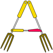 a