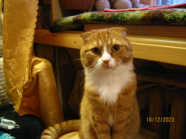 IMG-6199.jpg