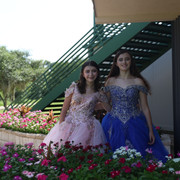 IMG 9106