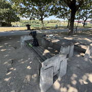 IMG 6237
