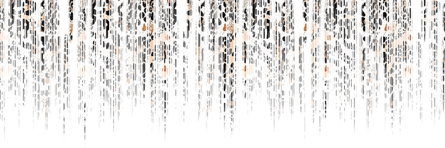 01 (2).png