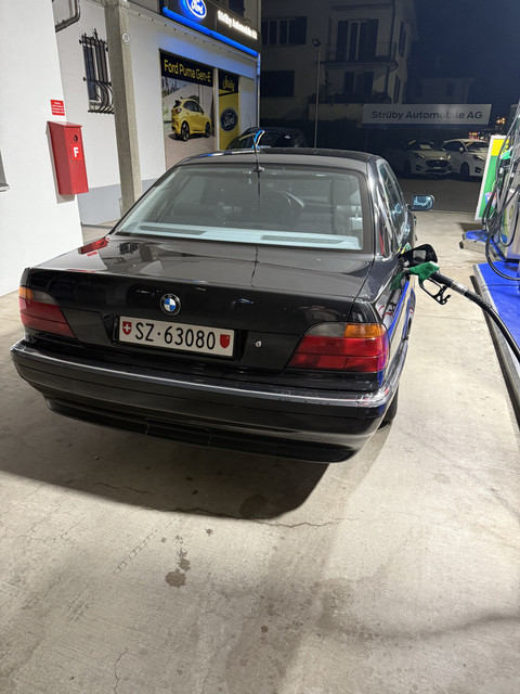 IMG-6366