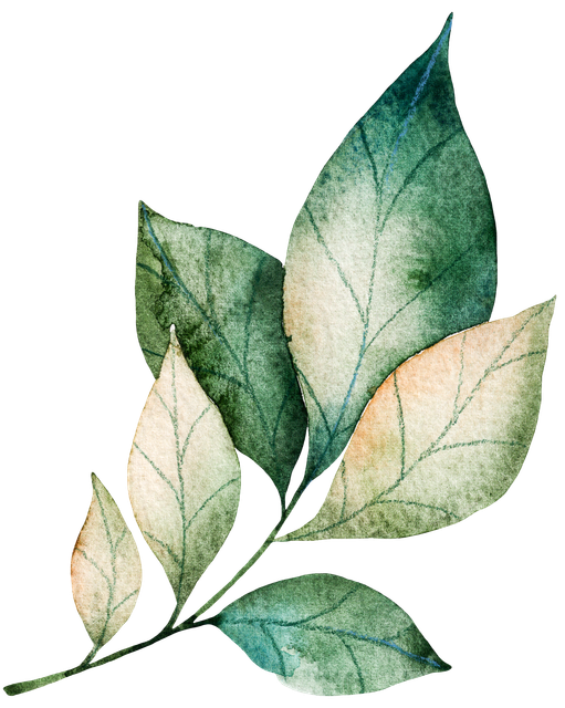 46d2f7f02fbdf3d45c77b504fa0f1c6c.png