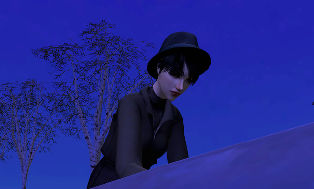 image003.png