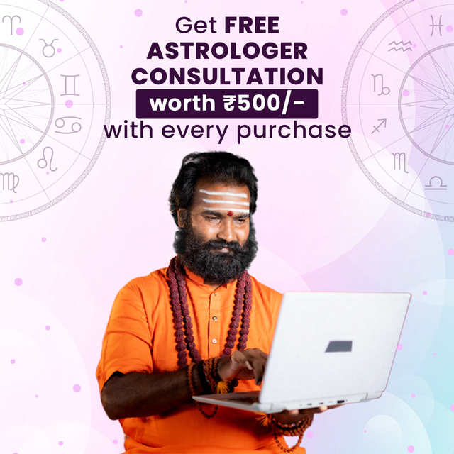 Astrologer consultation