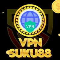 VPN