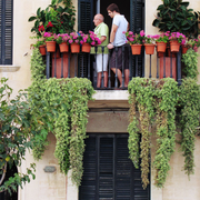 All-sizes-Balcony-Flickr-Photo-Sharing.png