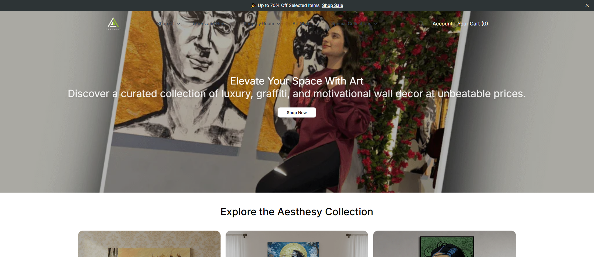 Stored capture of aesth.shop