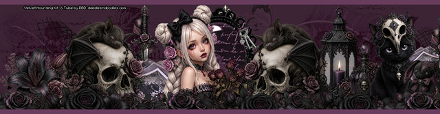 header.jpg