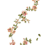 65a711435bdb428cbdf9e80cb2ff2d37