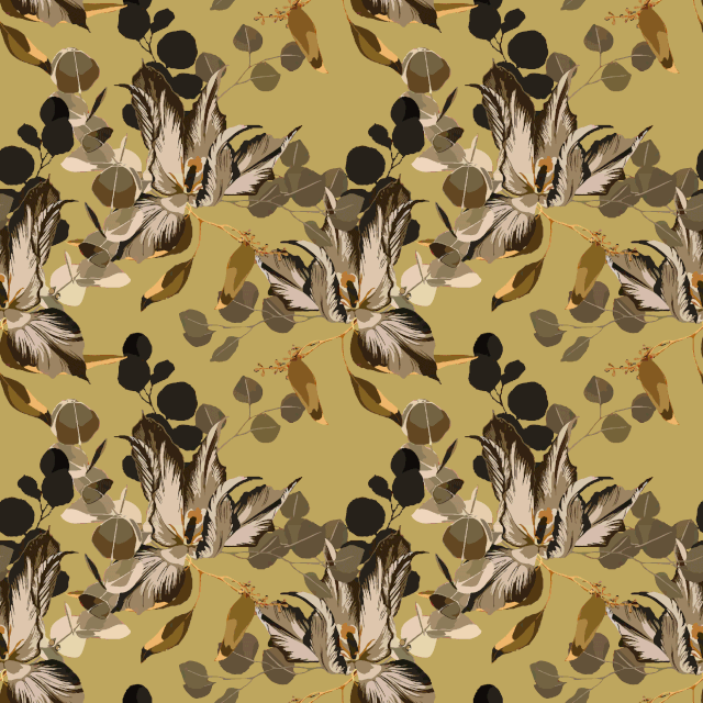 01.gif