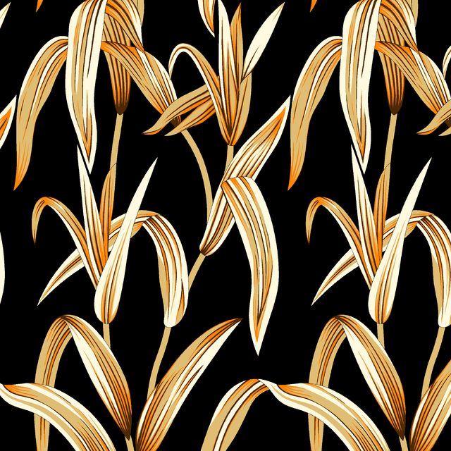 204918f1cfcc6d93a3a6bc1784d12d28.png