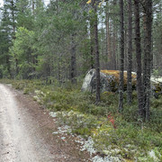 IMG 4982