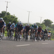 IMG-0384