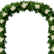 arc1-1-1