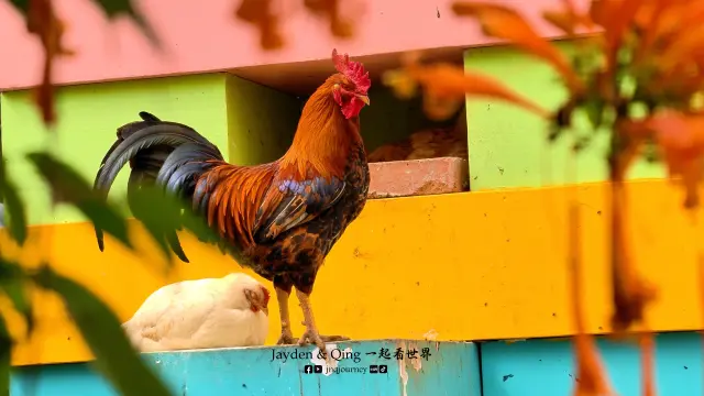 Green View Garden3.webp