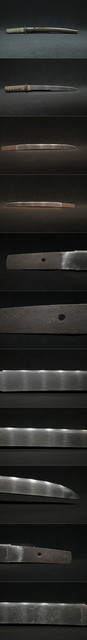 DSC0683.jpg