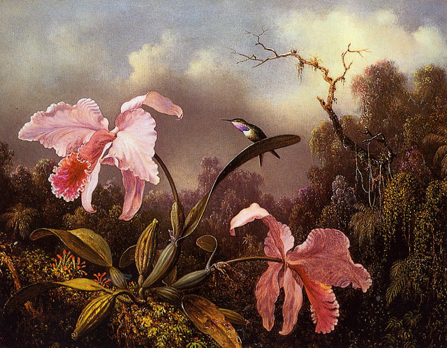 Orchids-and-Hummingbird-4