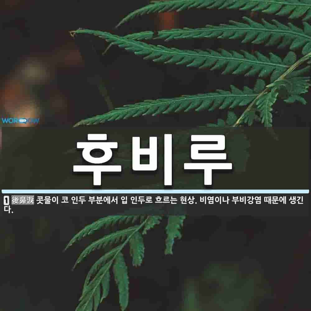 후비루 증상