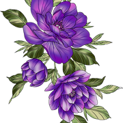 efd65eb55d52b6a3982e676eb8b5b407