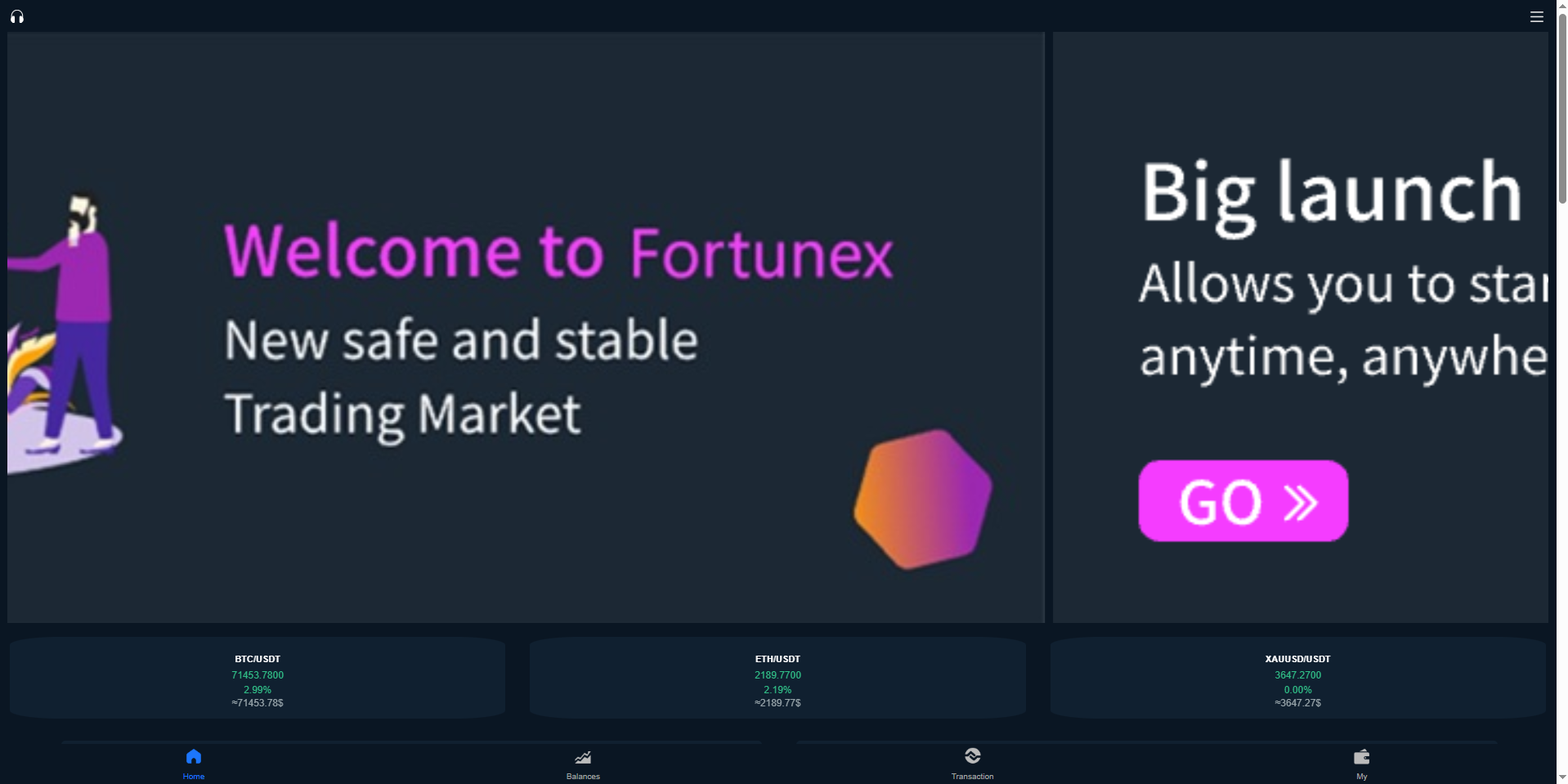 Stored capture of fortunx-g.com
