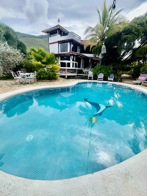 IMG 2290.jpg