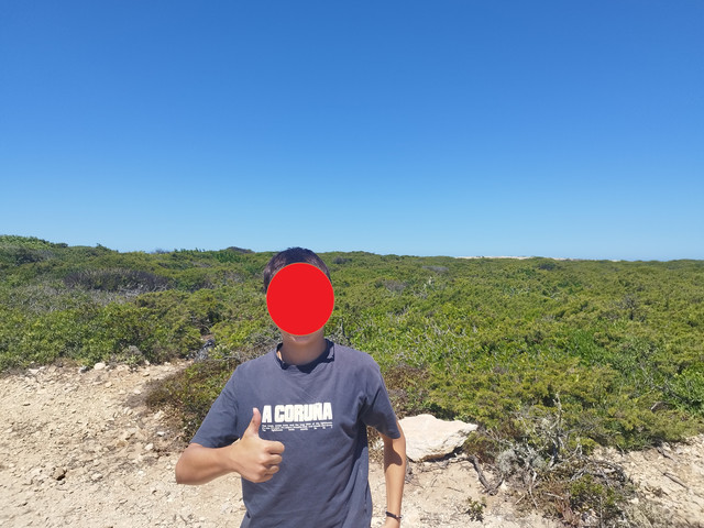 Martes 11 de Agosto. Cabo San Vicente, playas de O Martinhal y Dona Ana. - Algarve y algo mas (1)