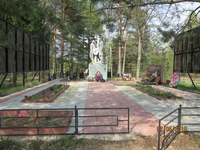 https://i.ibb.co/21RW5Btk/image.jpg