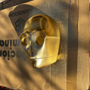 d IMG 5963