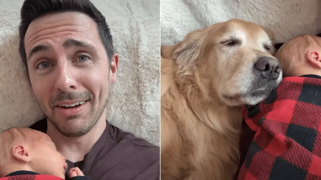 Golden Retriever Joins Baby for Adorable Nap