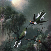 Two-Hummingbirds