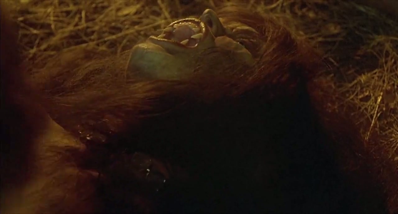 The Howling Screenshot