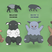 Drowzeez 1