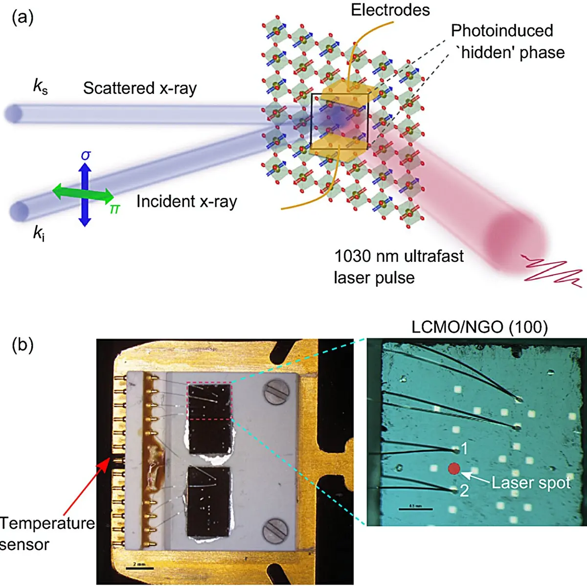 Instant Transformation of Materials Revealed