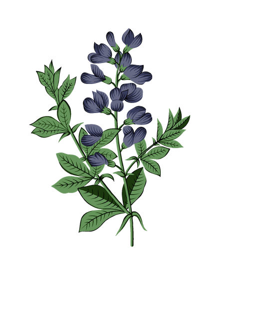 ae1a78d2958bbb9fece7f8ed9048f121.png