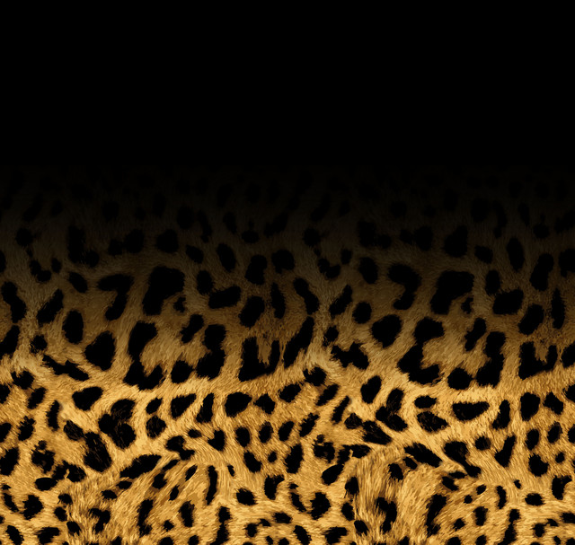 shutterstock 1909863364.jpg