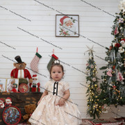 IMG 4061