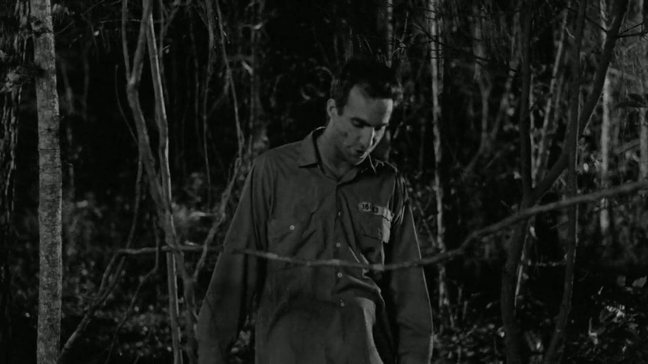Down by Law Screenshot