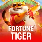 fortune tiger