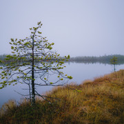 DSC06301